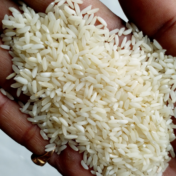 Sona Mansori Rice