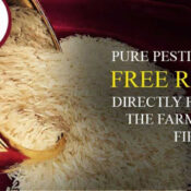 Pesticide Free Basmati Rice